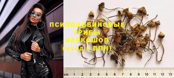 apvp Арсеньев