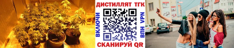 Дистиллят ТГК вейп с тгк  блэк спрут зеркало  Кимовск 